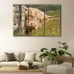 Cute Highland Cattle canvas art - Image 3