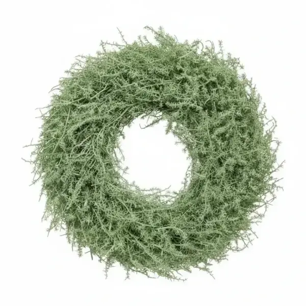 Green Asparagus wreath