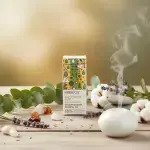 Herbeos Eucalyptus Radiata Essential Oil 5ml - Image 6