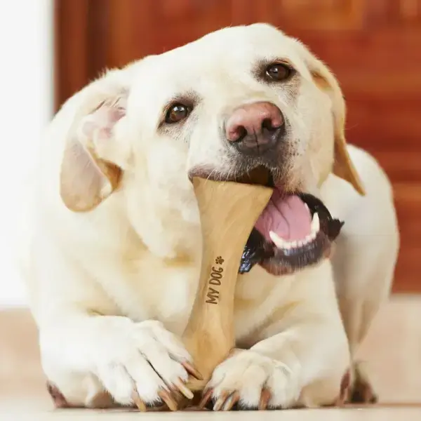Handmade Olive Wood Dog Bone