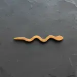 Handmade Olive Wood Hair Stick - Image 6