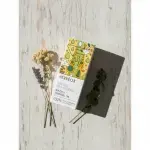 Herbeos Niaouli Essential Oil 5ml - Image 3