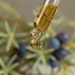 Juniper Essential Oil 5ml - Image 4