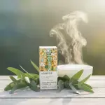 Organic Eucalyptus Globulus Essential Oil 5ml - Image 6