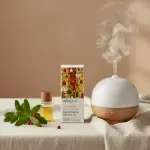 Wintergreen Essential Oil 5ml - Image 4