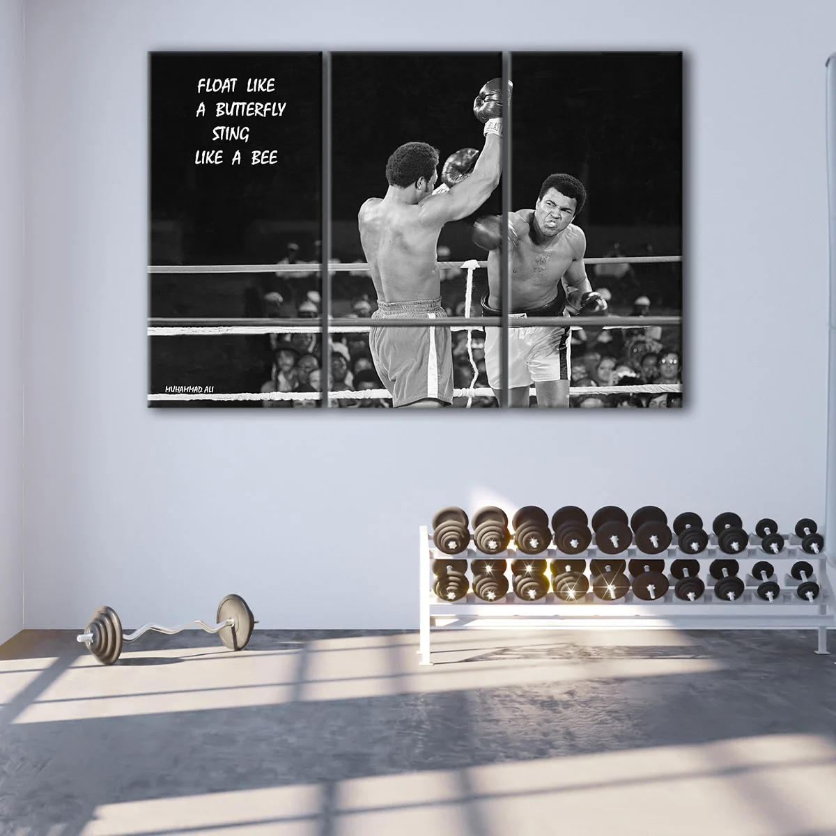 Ali Butterfly Quote canvas art