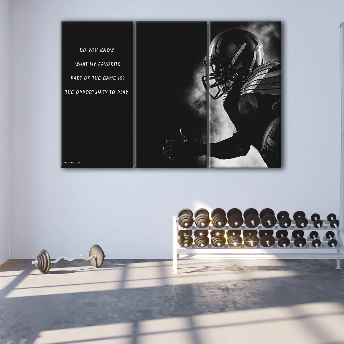Mike Singletary Football canvas art