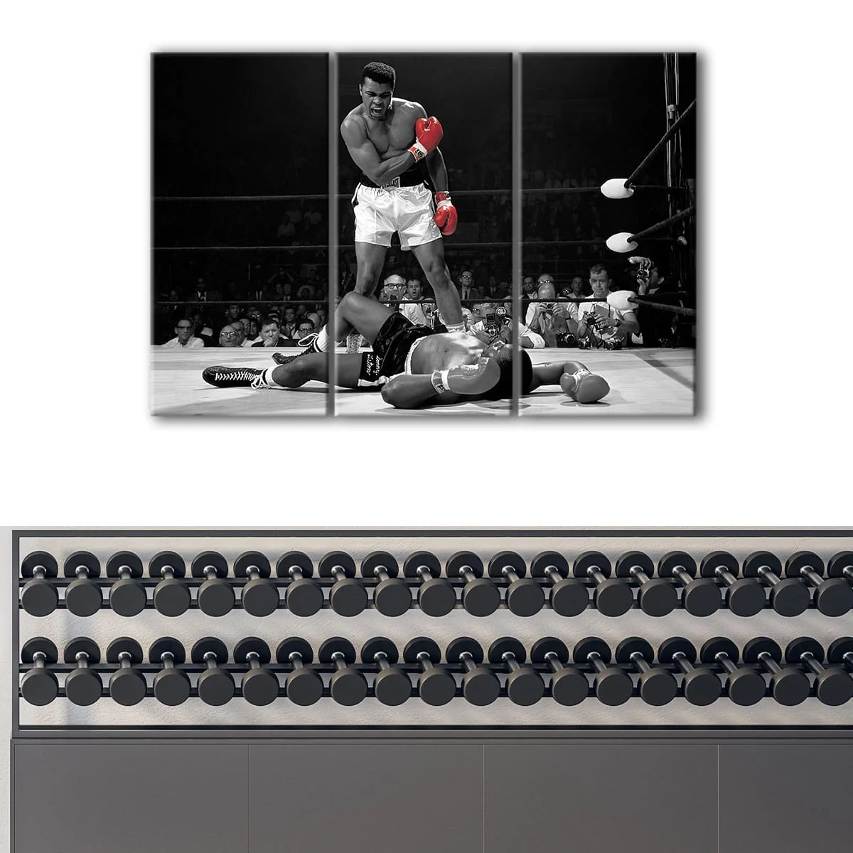Muhammad Ali Knockout canvas art