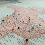 Brown Push Pin World Map - Image 8