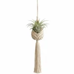 Handmade Macramé Plant Hanger with Tassel - Image 3
